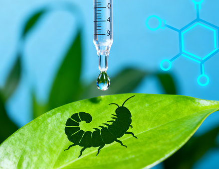 Attractifs et adjuvants